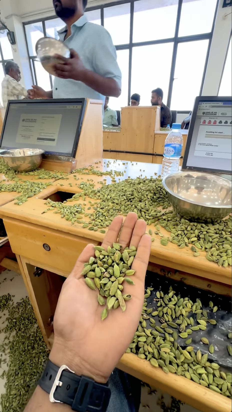 Green cardamom graded on the auction inspection floor at RNS Spices