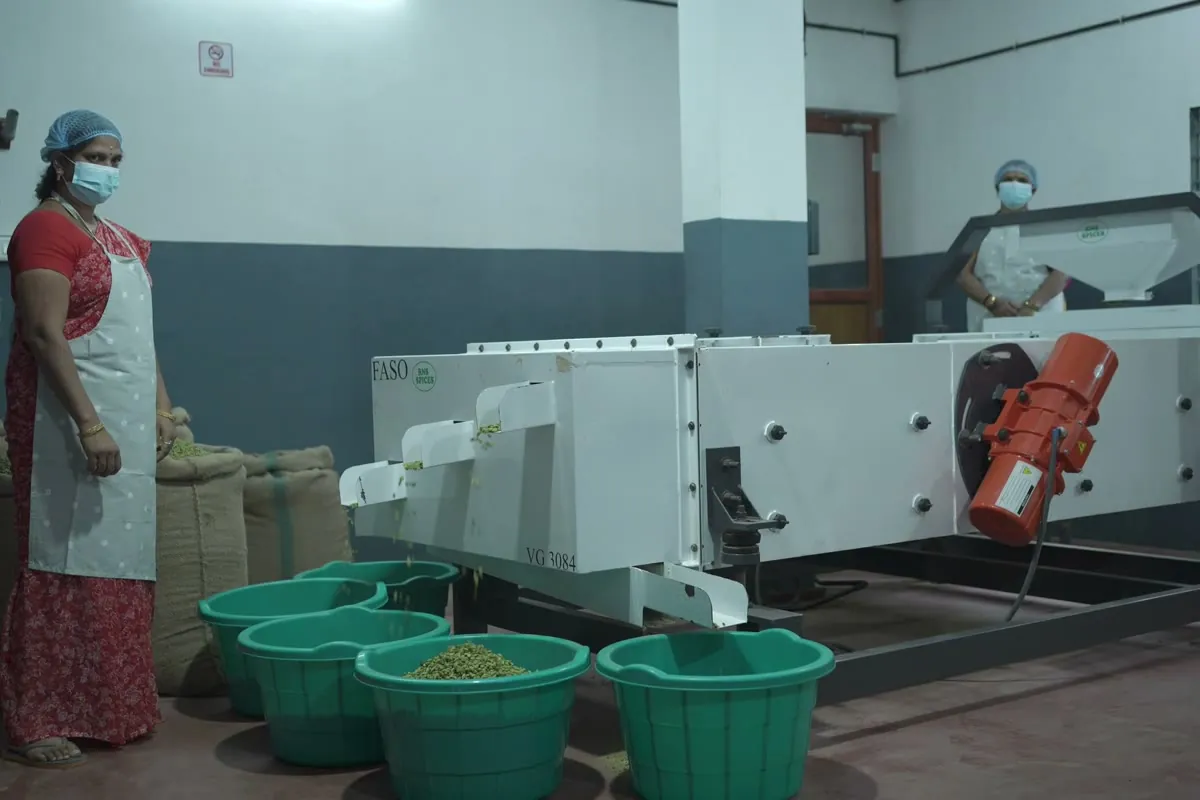 Cardamom grading facility at RNS Spices
