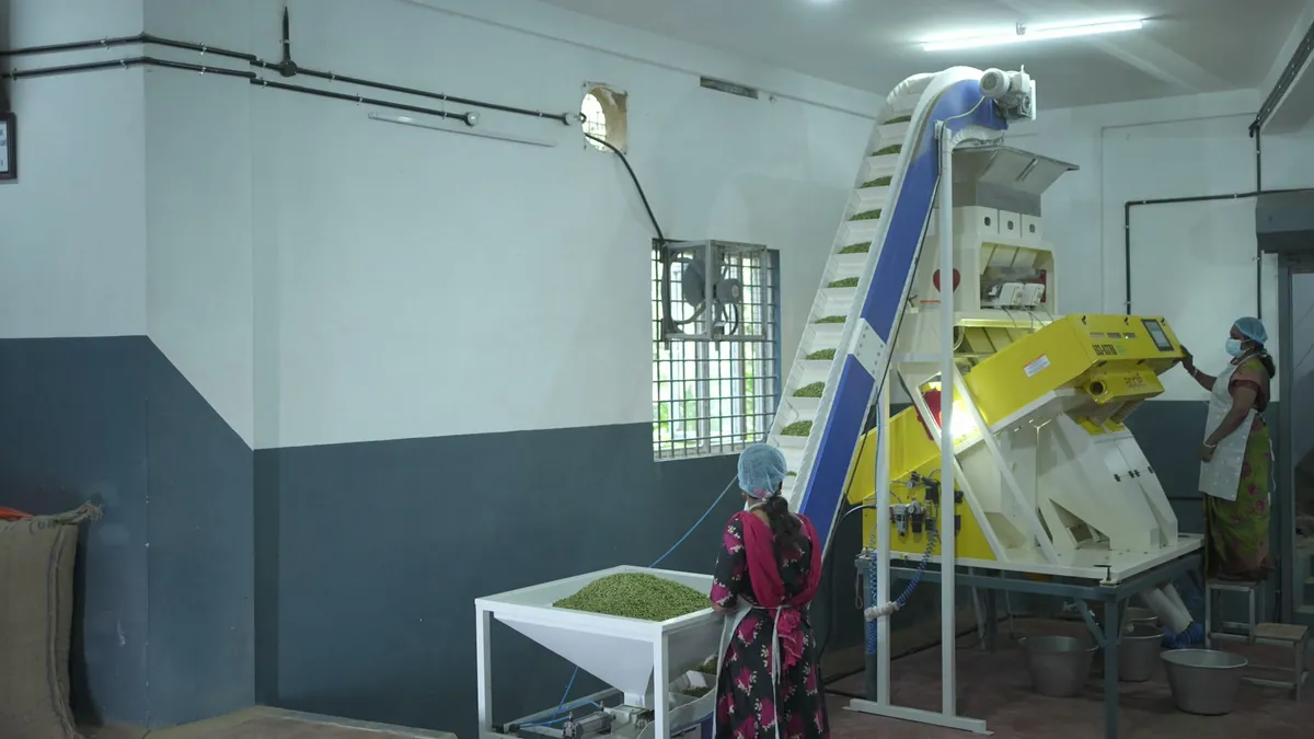 Workers running the RNS Spices color-sorting machine